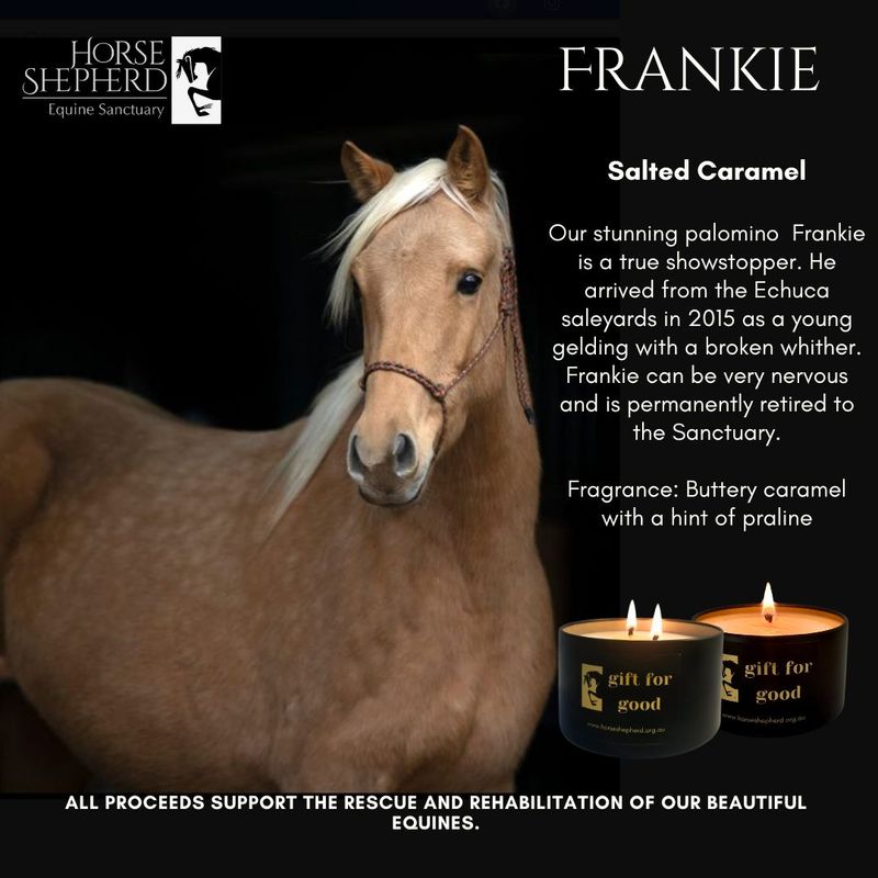 HSES FRANKIE - Salted Caramel