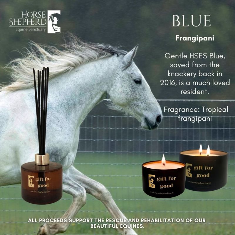HSES Blue - Fragapani