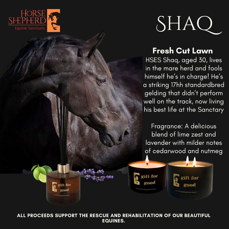 HSES SHAQ - Freshly Cut Lawn