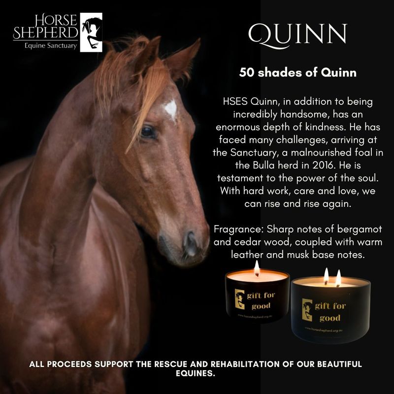 HSES Quinn - 50 Shades