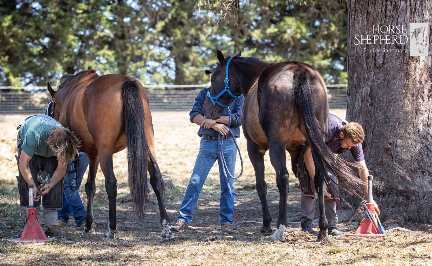 DONATION – FARRIER