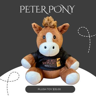 HSES Peter Pony