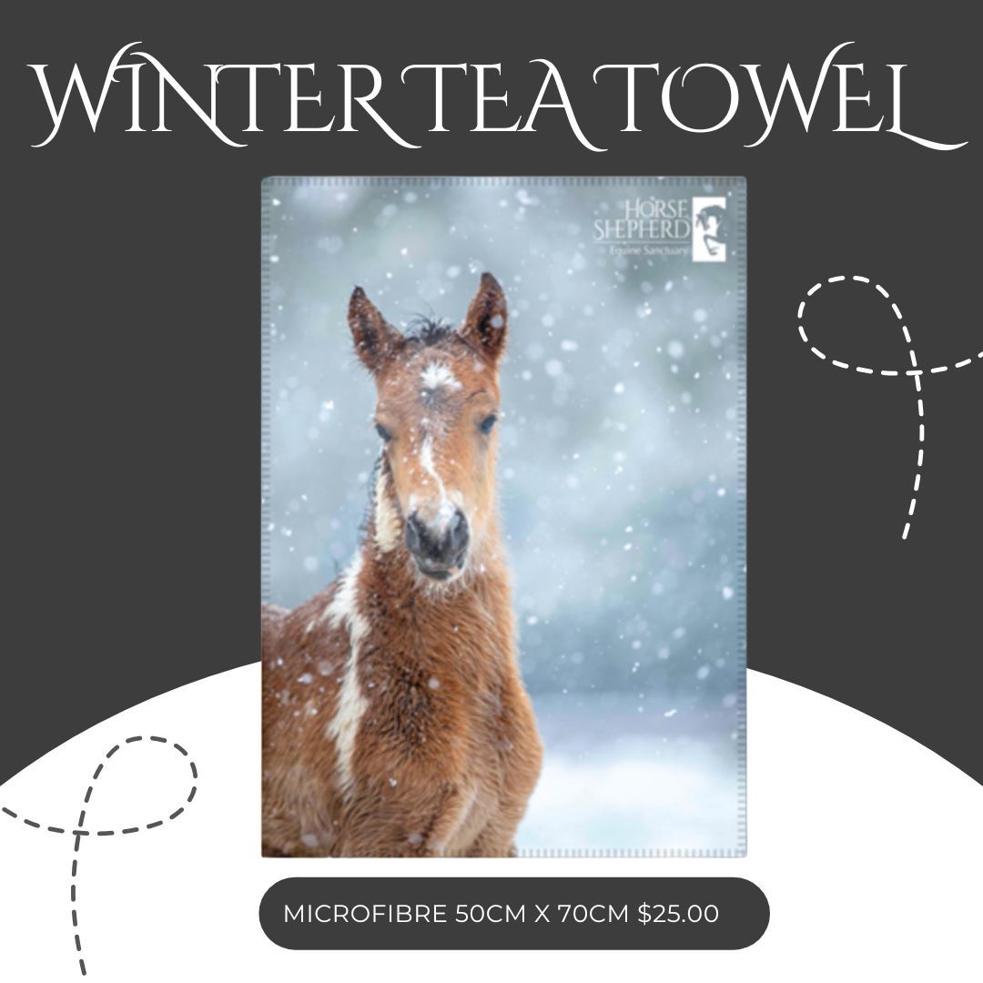 Microfibre Tea Towel - Winter