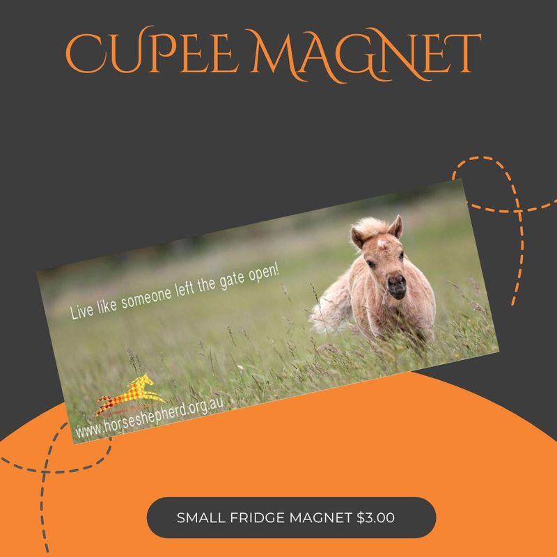 FRIDGE MAGNET