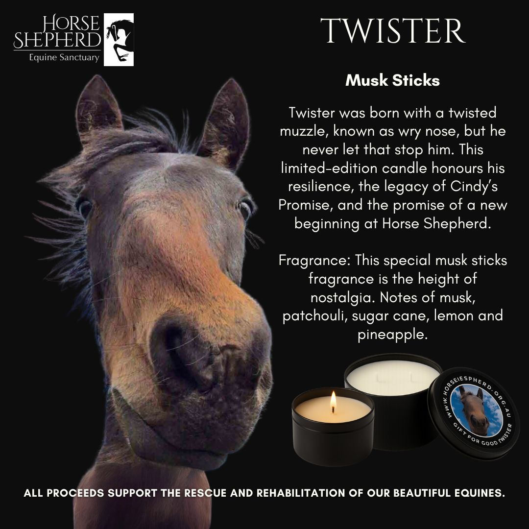 HSES Twister - Musk Sticks Candle Large