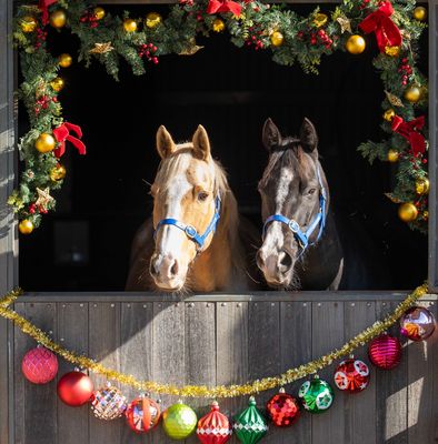 Christmas Shop 2026