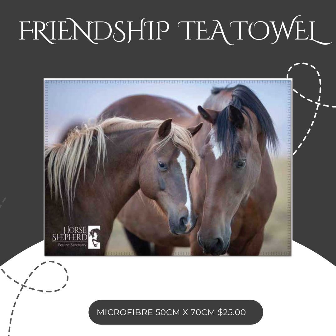 Microfibre Tea Towel - Friends
