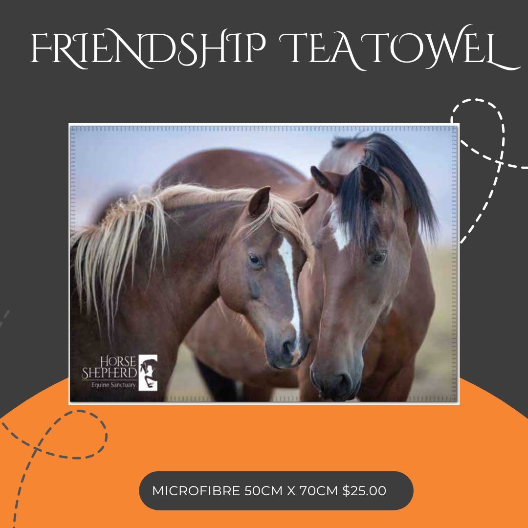 Microfibre Tea Towel - Friends