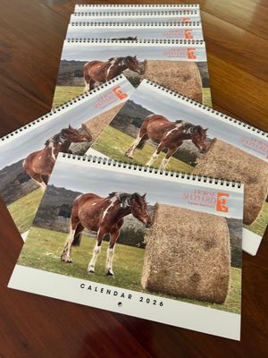 2026 Calendar A4 Double Page