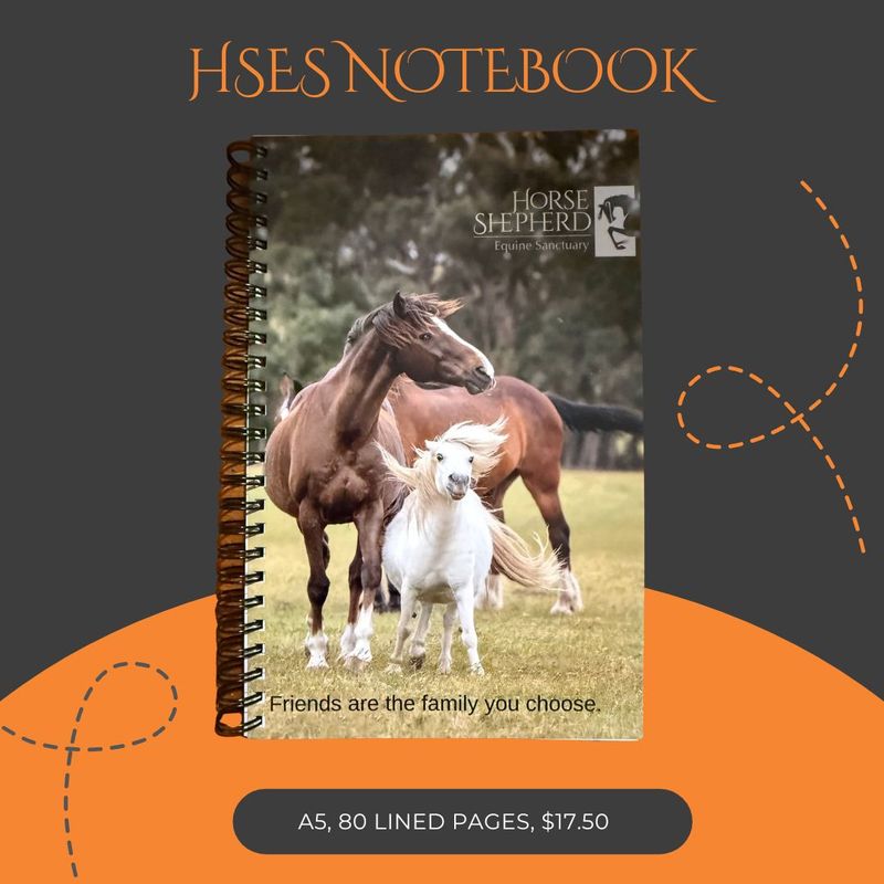 HSES Paul and Elvis - Spiral Bound Notebook with 80 lines pages