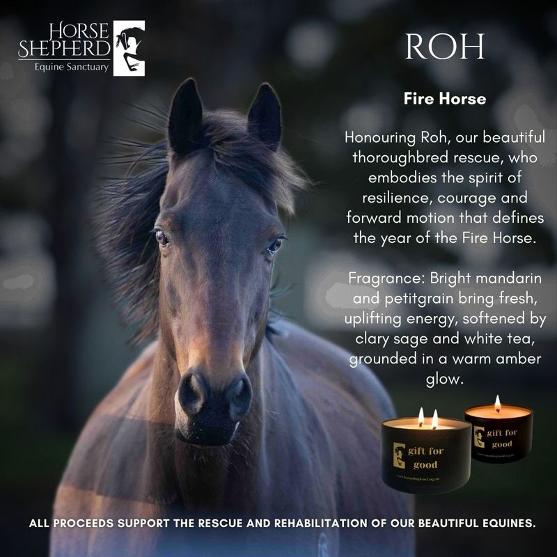 HSES ROH - Fire Horse