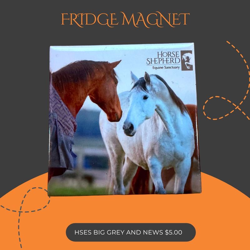 Big Grey Fridge Magnet