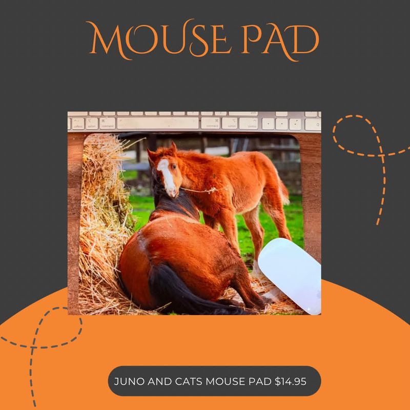 Mouse Pad HSES cats and HSES Juno