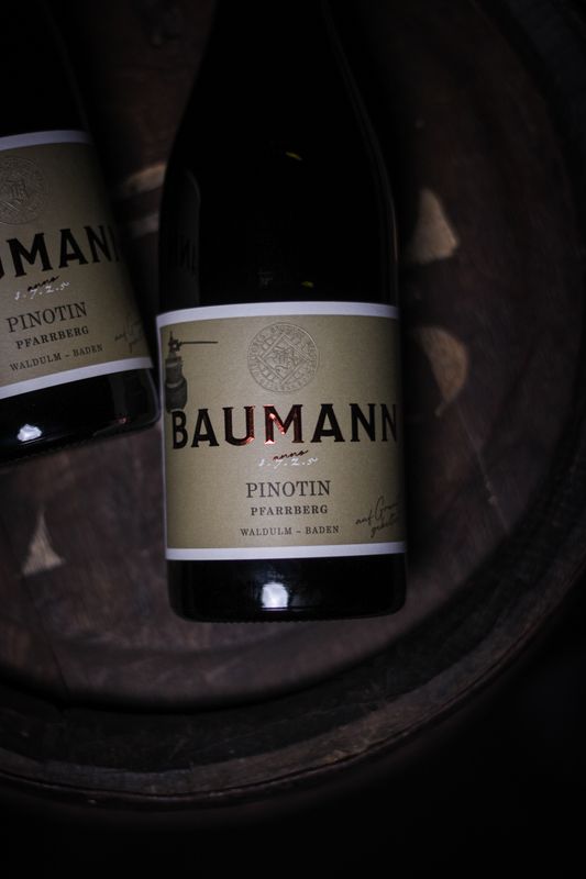 2024 Pinotin trocken 2024 Pinotin trocken