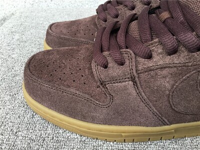 Dunk Low Camp
