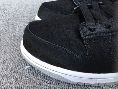 Dunk Low Mail