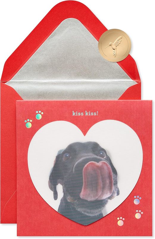 Papyrus Funny Valentines Day Card -Like You A Lot