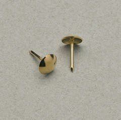 Bulletta ferma targhe liscia in acciaio finitura ottone lucido Bulletta ferma targhe liscia in acciaio finitura ottone lucido