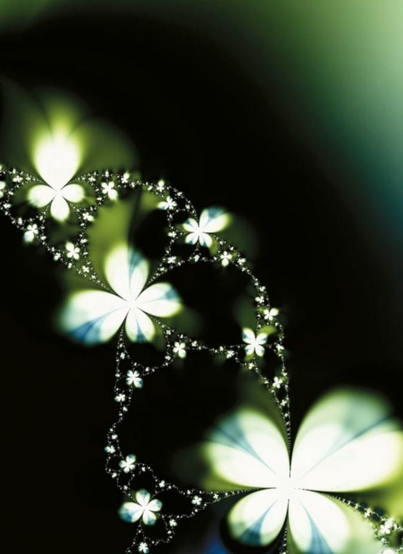 Libro firma modello fiori Libro firma modello fiori