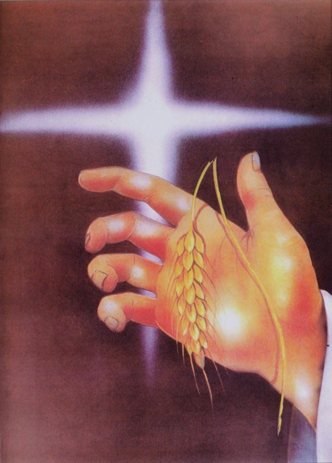 Libro firma modello mano