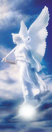 Roll-Up Angelo Divino Roll-Up Angelo Divino