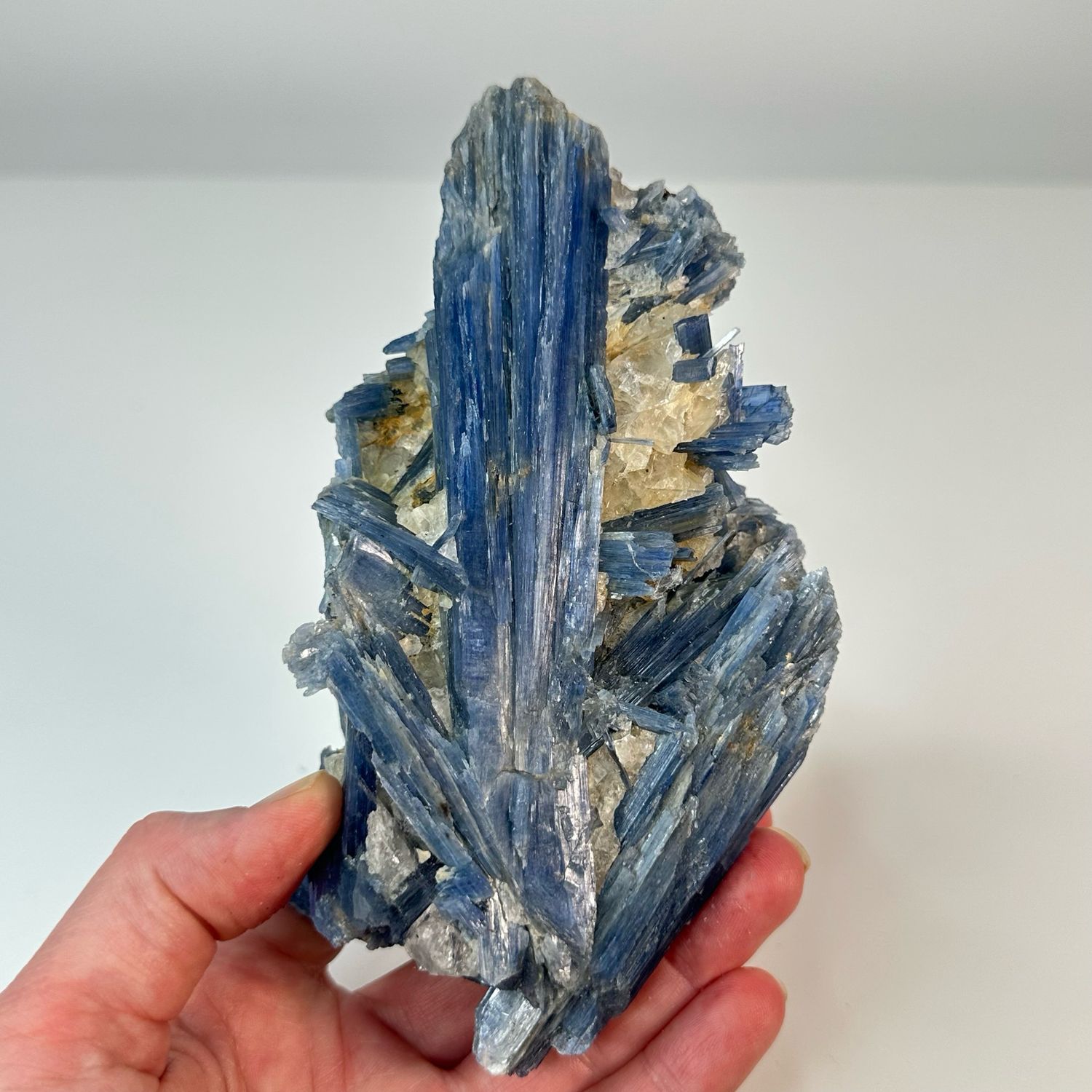 Blue Kyanite With Quartz And Garnet