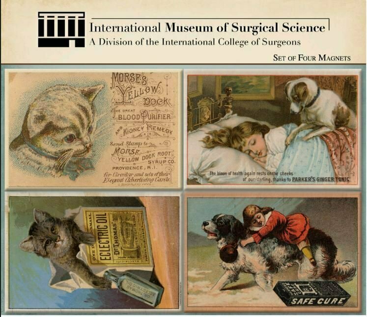 IMSS Set of Four Magnets: Apothecary Pets