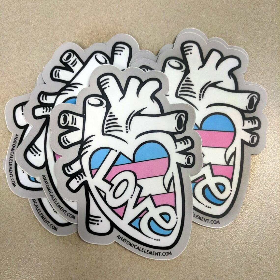 Trans Flag Anatomical Heart Sticker