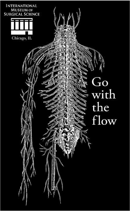 IMSS Go with the Flow T-Shirt