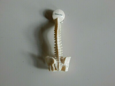 Spine Keychain