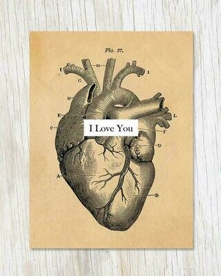 I Love You: Anatomical Heart Card