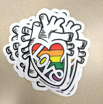 LOVE is LOVE Anatomical Heart Pride Sticker