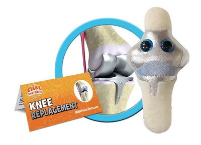 Plush Knee Replacement