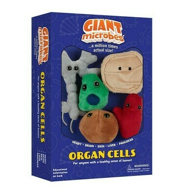 Organ Cells Gift Box