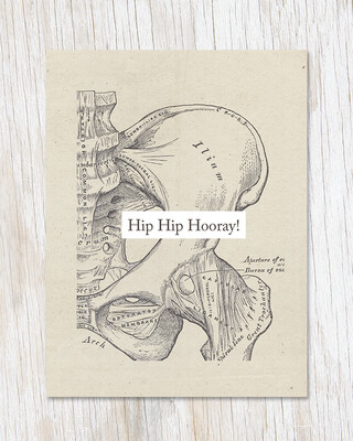 Hip Hip Hooray: Anatomy Card