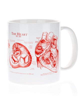 Anatomical Heart Mega Mug 20 oz