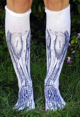 Anatomical Muscle Socks