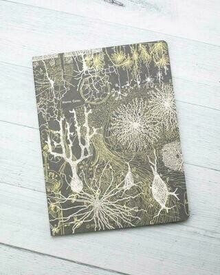Neurons Notebook