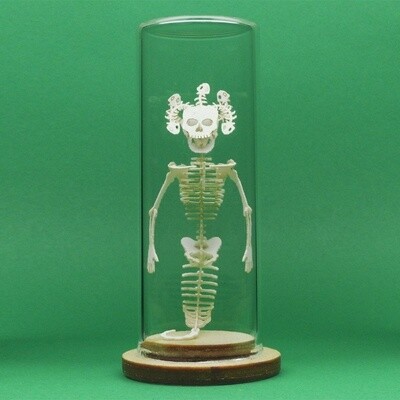 Tiny Medusa Skeleton Deluxe Mini 3D Kit
