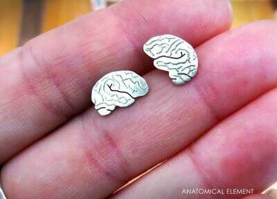 Anatomical Brain Earrings