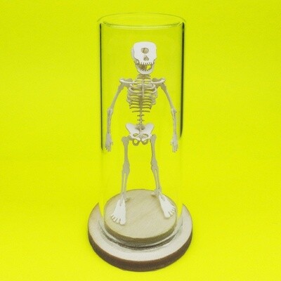 Tiny Cyclops Skeleton Deluxe Mini 3D Kit