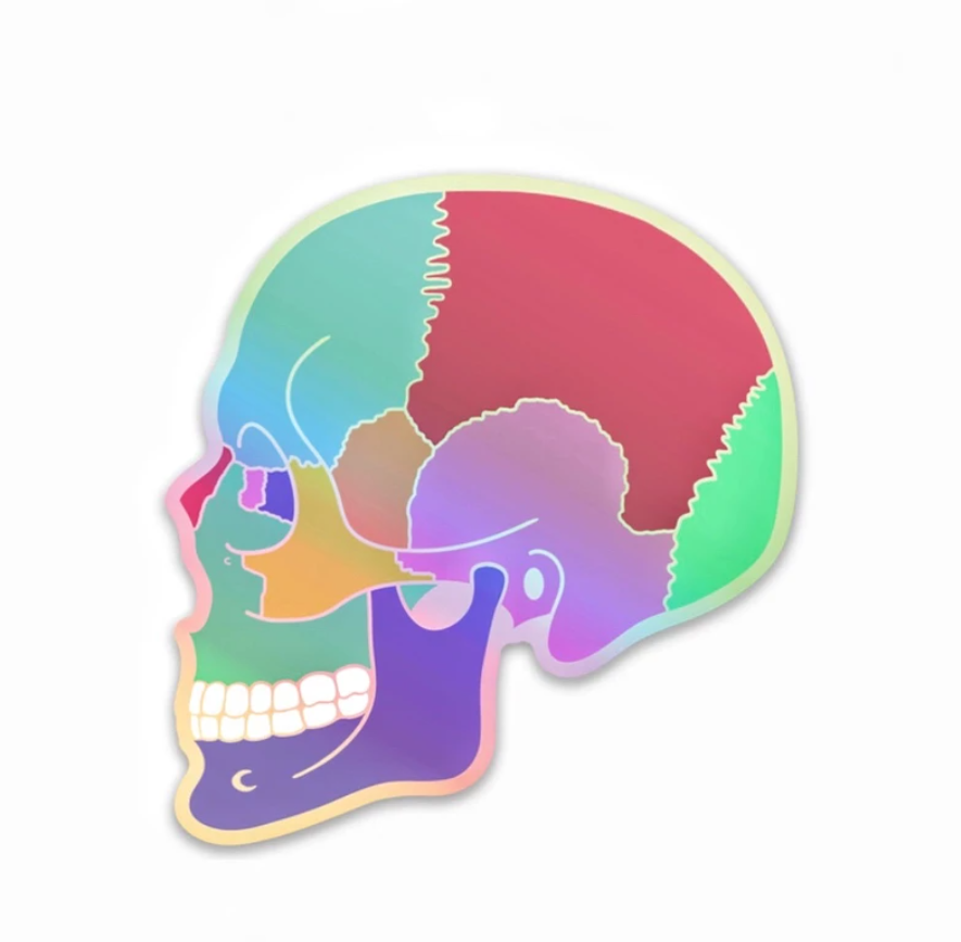 Textbook Anatomy Skull Holographic Sticker