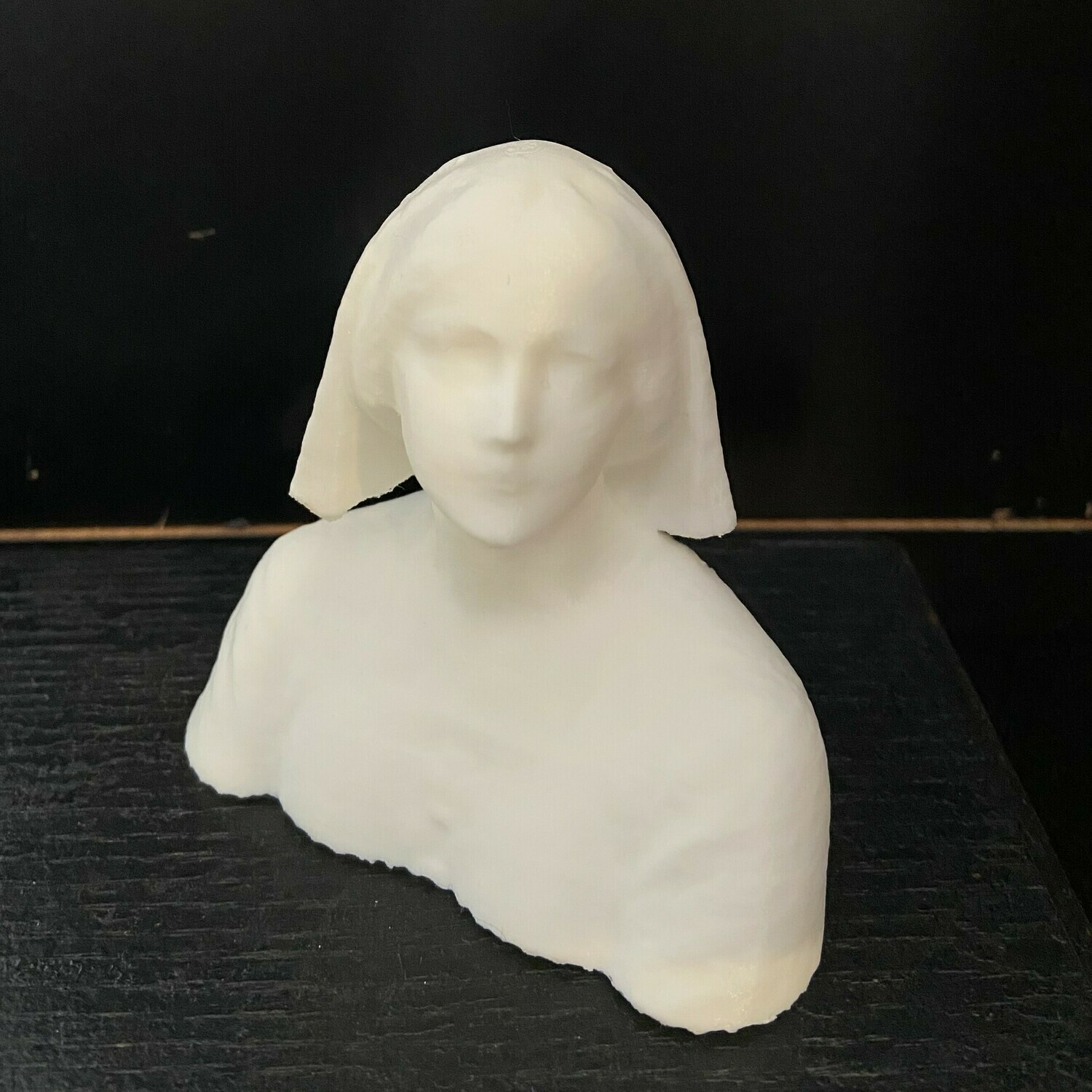 Florence Nightingale 3D Print