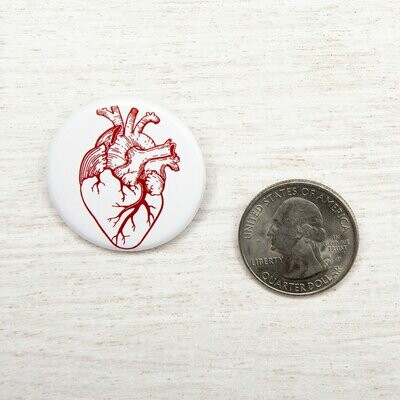Anatomical Heart Button