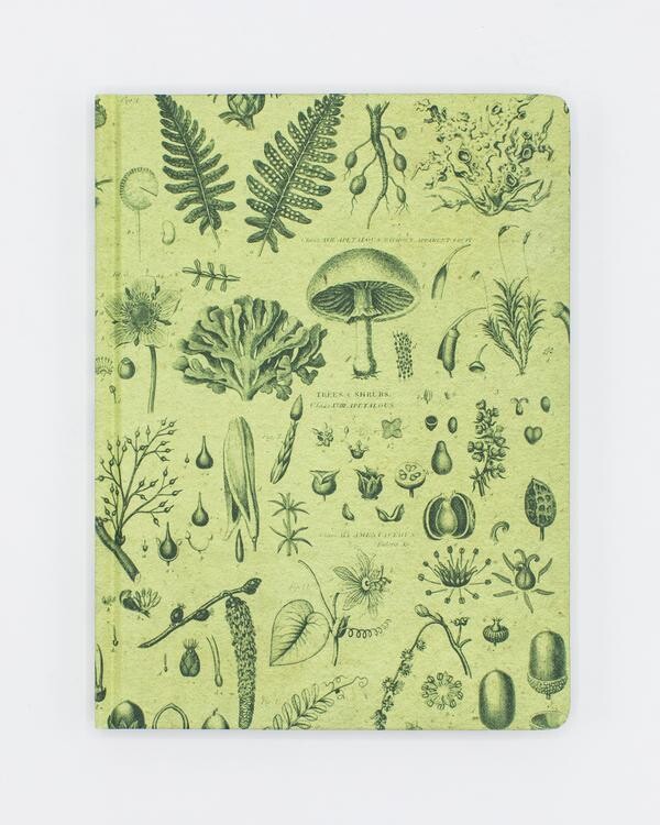 Plant & Fungi Hardcover Notebook (Lined/Grid)