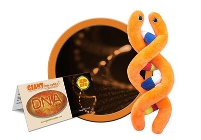 DNA Plush