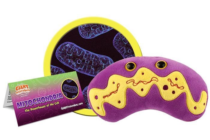 Mitochondria Plush