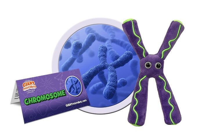 Chromosome Plush