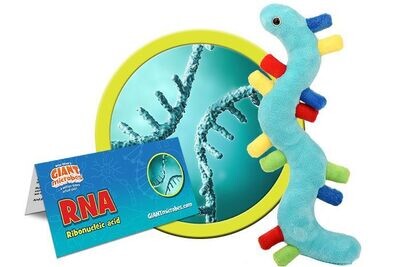 RNA Plush