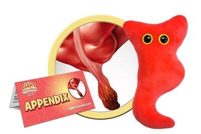 Appendix Plush